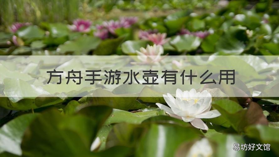 方舟手游水壶有什么用 方舟军用水壶怎么做
