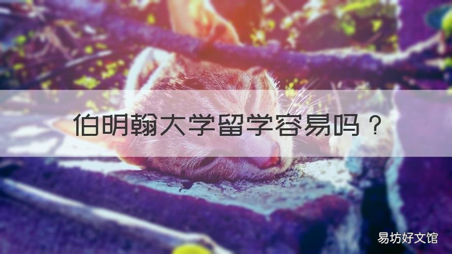 伯明翰大学留学容易吗 伯明翰大学留学费用