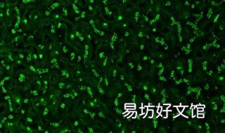 高尔基体与细胞膜直接相连吗 内质网膜高尔基体膜和细胞膜直接相连吗