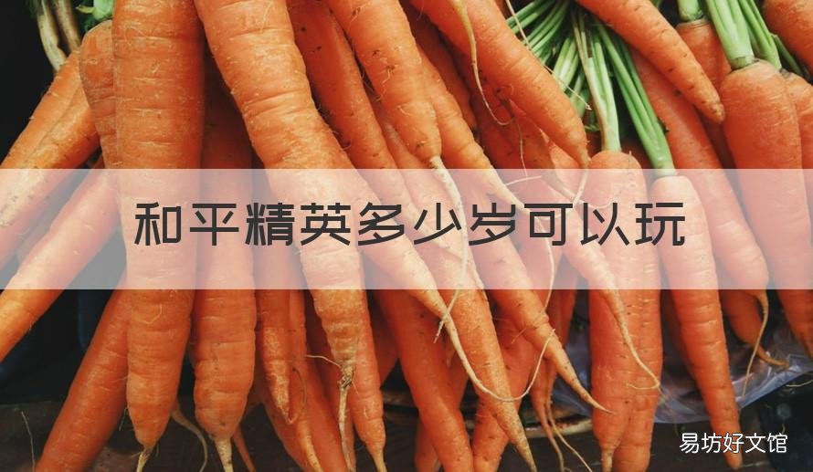 和平精英多少岁可以玩 和平精英多少岁可以玩6小时
