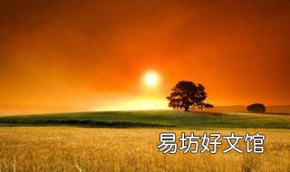 抒情句子 抒情句子摘抄大全