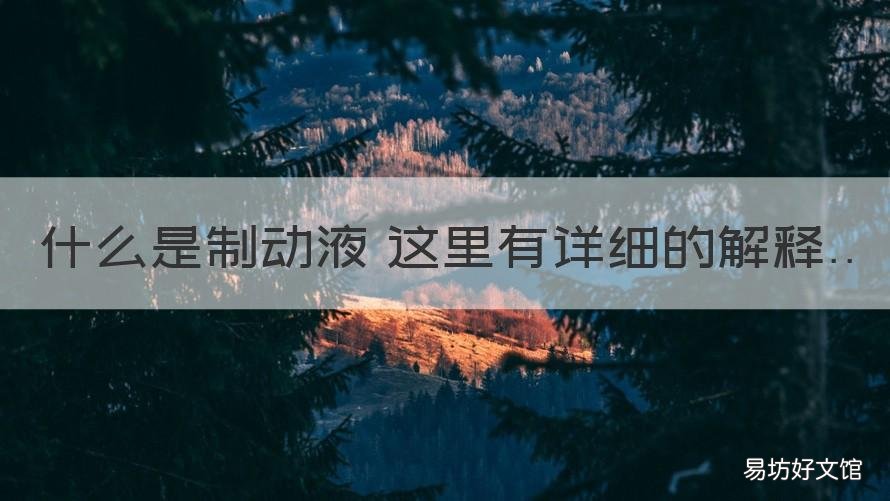 什么是制动液 这里有详细的解释 制动液的定义及作用