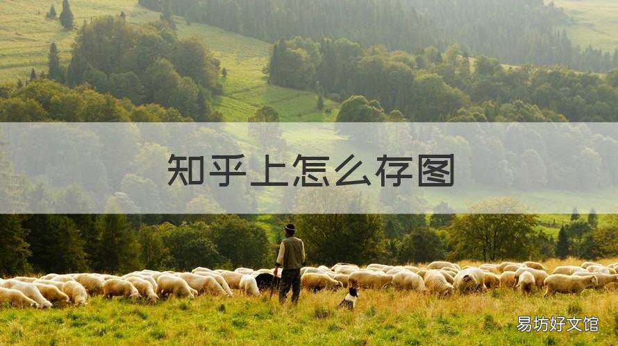 知乎上怎么存图 知乎里保存的图片在哪儿