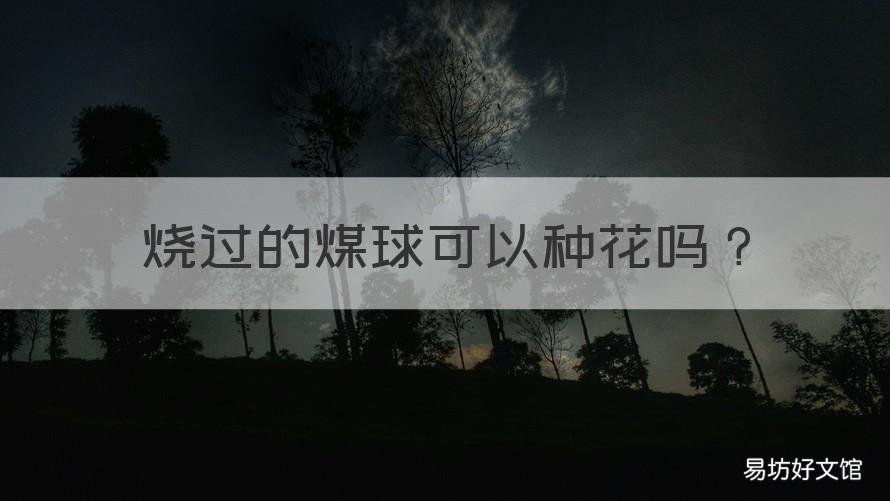 烧过的煤球可以种花吗 煤球可以直接种花吗