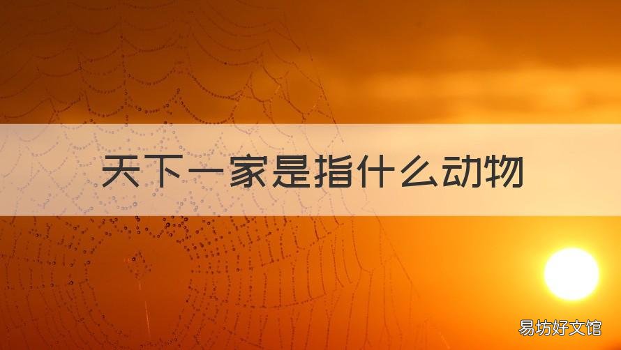 天下一家是指什么动物 天下一家有什么动物