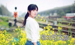 怎么拍照 怎么拍照扫描成电子版