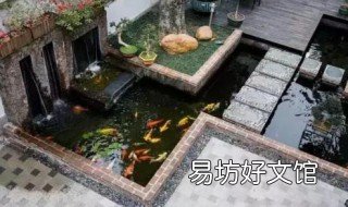 小型鱼池的建造方法 怎样建造鱼池
