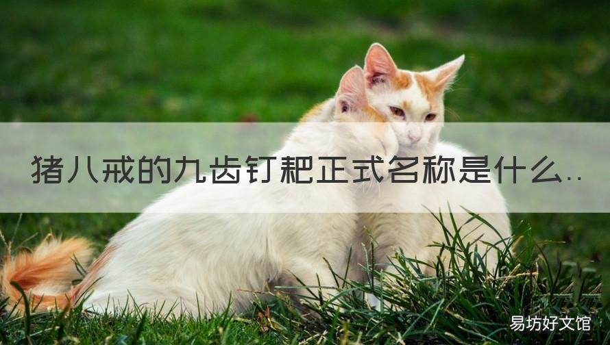 猪八戒的九齿钉耙正式名称是什么 猪八戒的九齿钉耙全称