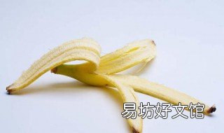 香蕉皮适合什么花 香蕉皮上什么花好