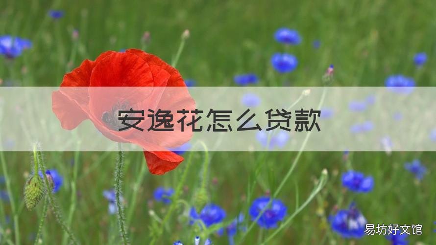 安逸花怎么贷款 安逸花能贷款吗