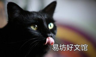 几月出生的人阴气重 几月出生的人阴气重呢