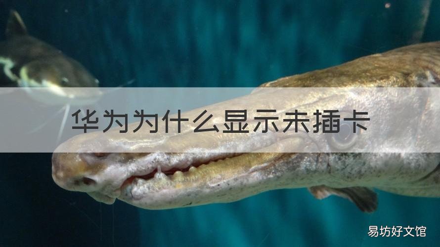 华为为什么显示未插卡 华为手机插卡了为什么显示未插卡