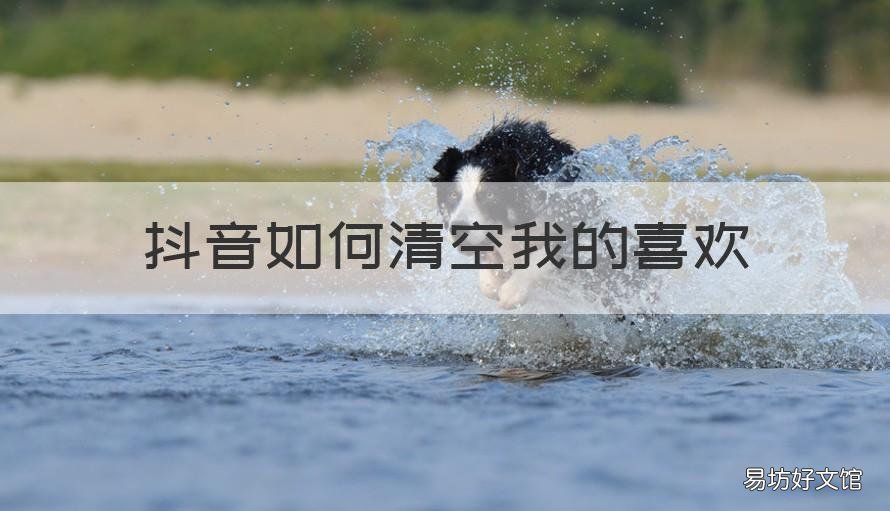 抖音如何清空我的喜欢 抖音如何清空我的喜欢视频