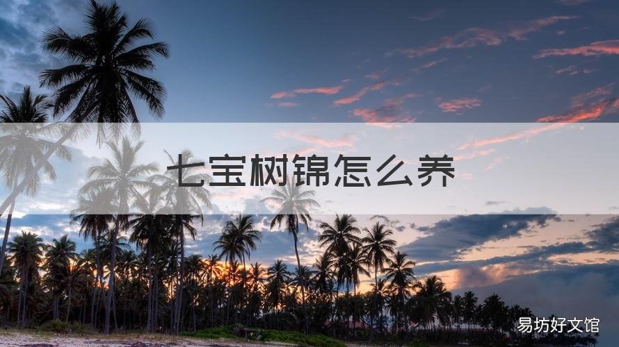 七宝树锦怎么养 七宝树锦和七宝树的区别