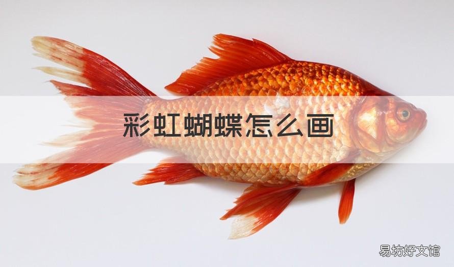 彩虹蝴蝶怎么画 彩虹蝴蝶画画