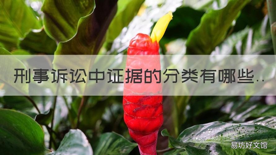 刑事诉讼中证据的分类有哪些 刑事诉讼中证据的分类有哪些种类