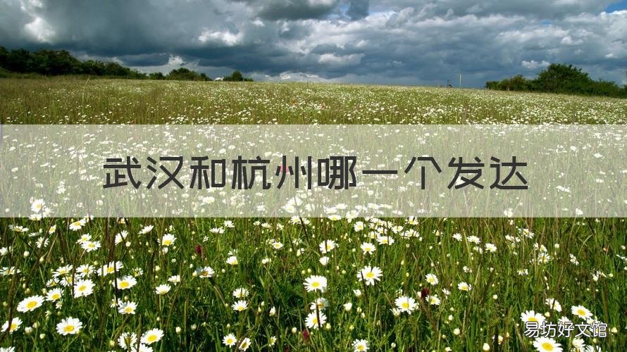 武汉和杭州哪一个发达 武汉和杭州哪一个发达些