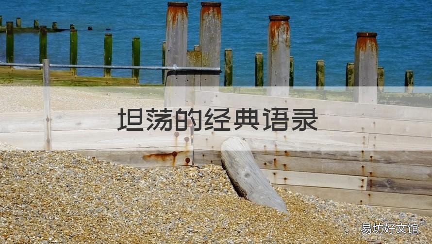 坦荡的经典语录 坦荡的经典语录摘抄