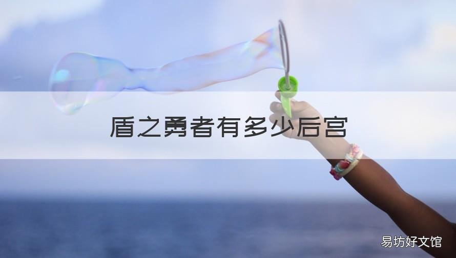 盾之勇者有多少后宫 盾之勇者成名录是后宫