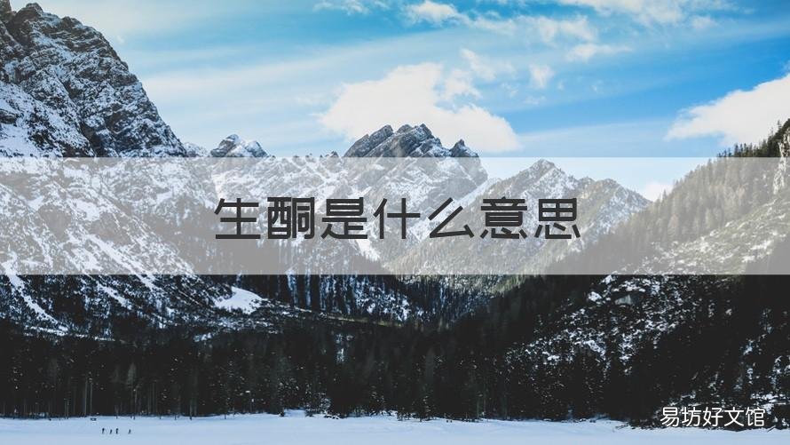 生酮是什么意思