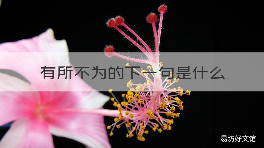 有所不为的下一句是什么 有所不为的下一句是什么呢