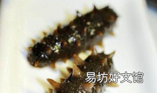 野生海参怎么泡发 野生海参泡发后颜色浅还是深
