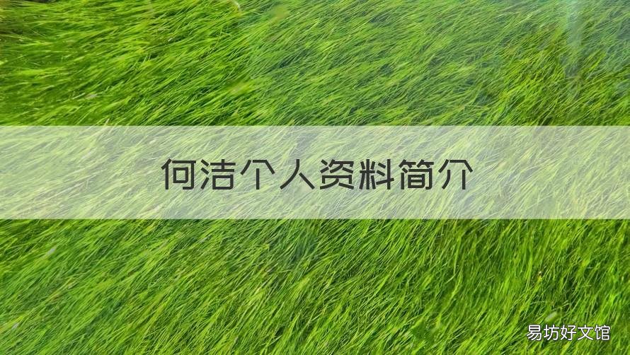 何洁个人资料简介 何洁个人资料简介及老公