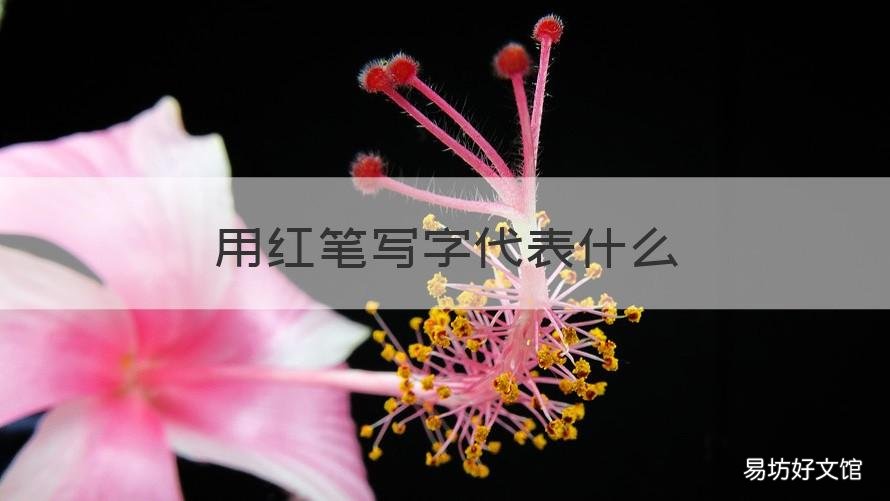 用红笔写字代表什么 用红笔写的字