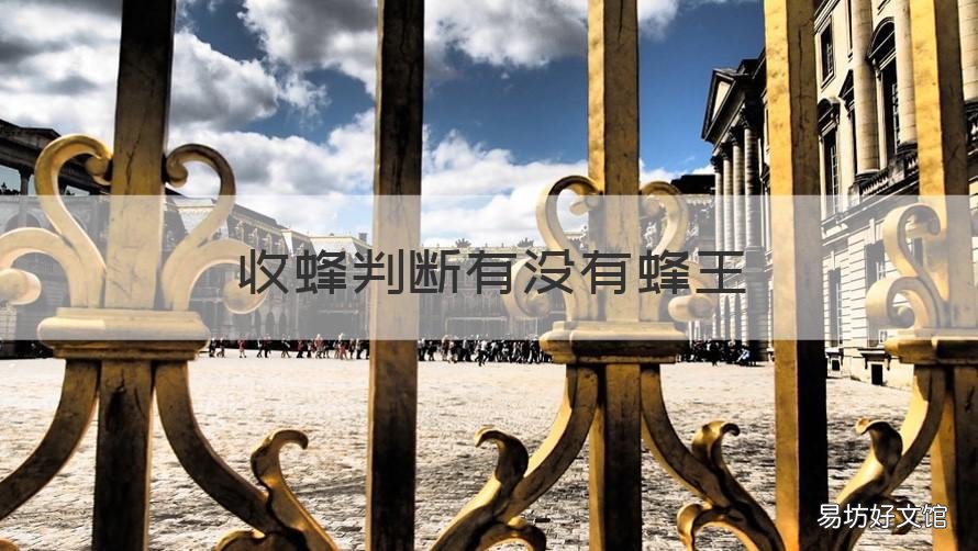 收蜂判断有没有蜂王 收蜂没有收到蜂王怎么办