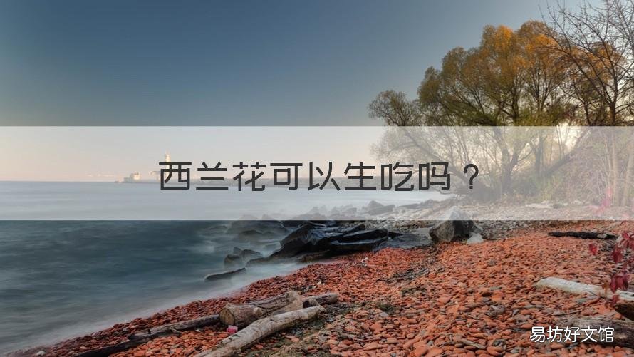 西兰花可以生吃吗 西兰花可以生吃吗w