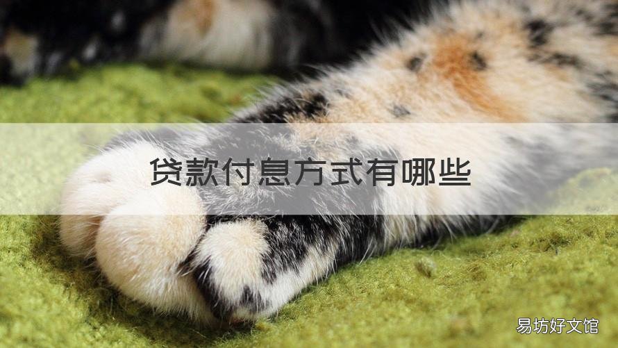 贷款付息方式有哪些 借款付息方式