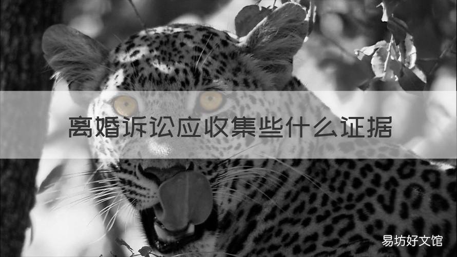 离婚诉讼应收集些什么证据 离婚官司证据收集