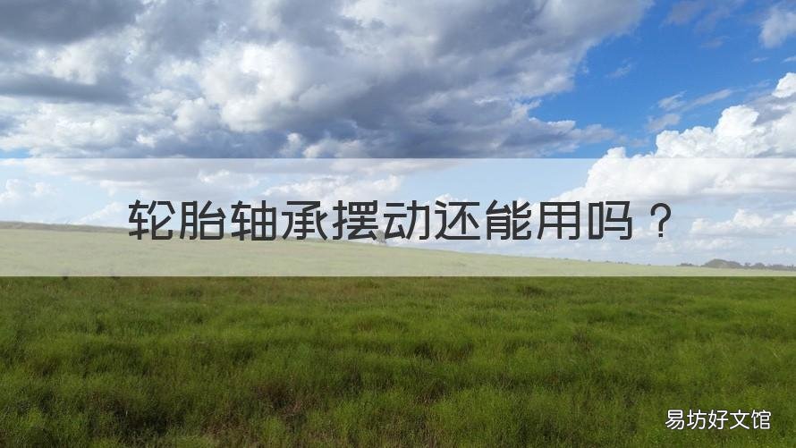 轮胎轴承摆动还能用吗 电动车后轮换轴承后轮子摆