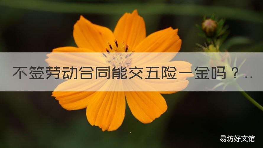 不签劳动合同能交五险一金吗 不签劳动合同能交五险吗?