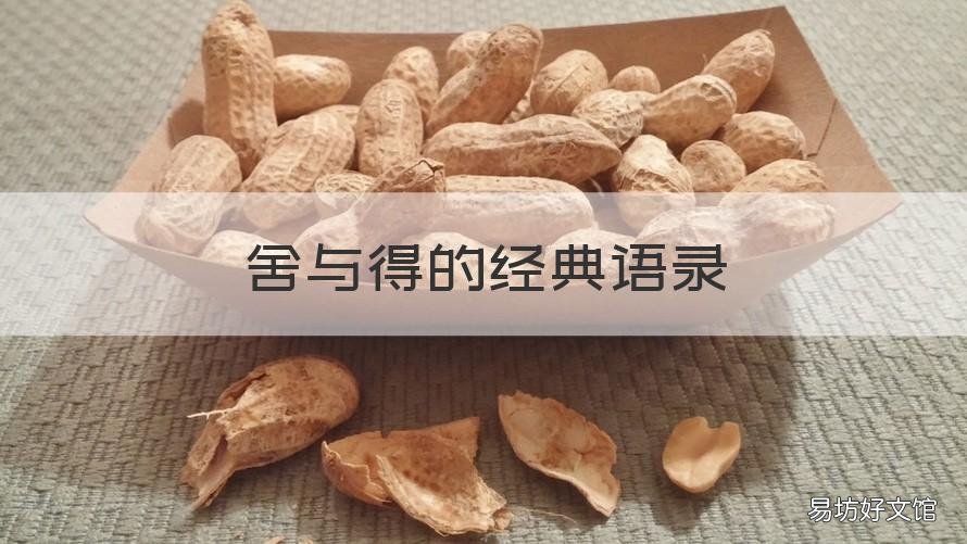 舍与得的经典语录 舍与得的感悟句子