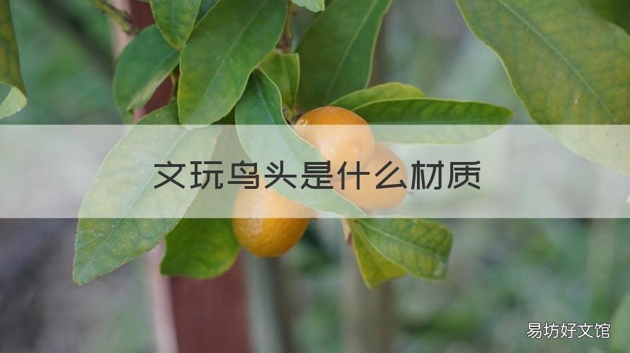 文玩鸟头是什么材质 鸟头文玩鉴别方法