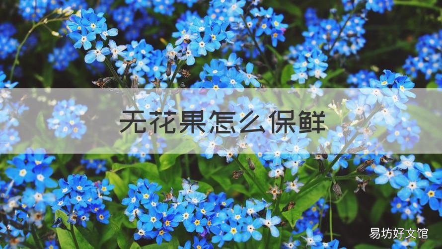 无花果怎么保鲜 无花果怎么保鲜储存
