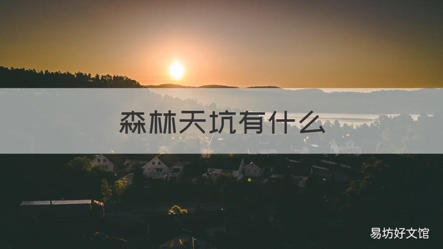 森林天坑有什么 森林天坑有什么入口