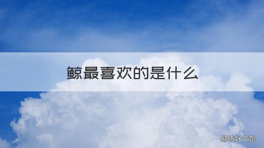 鲸最喜欢的是什么 鲸喜欢干什么