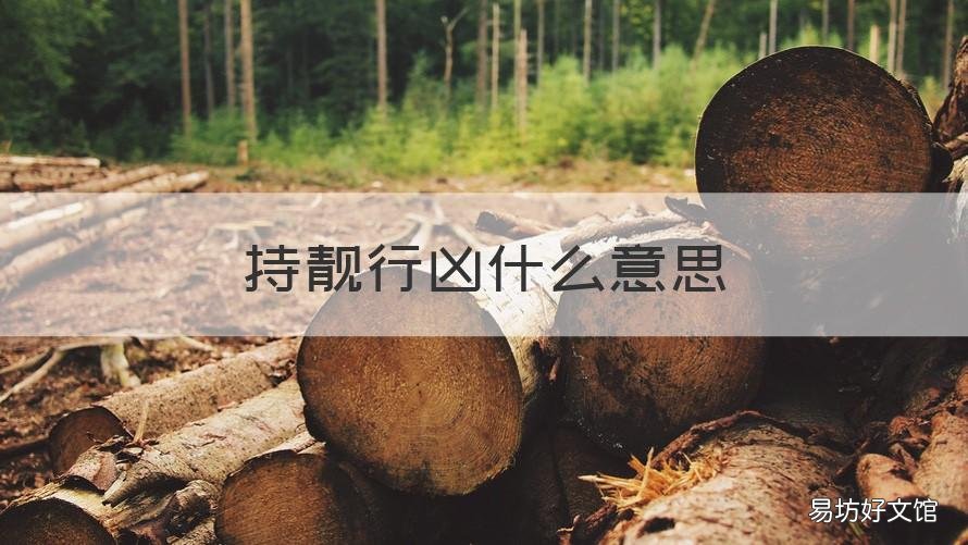 持靓行凶什么意思 持靓行凶近义词