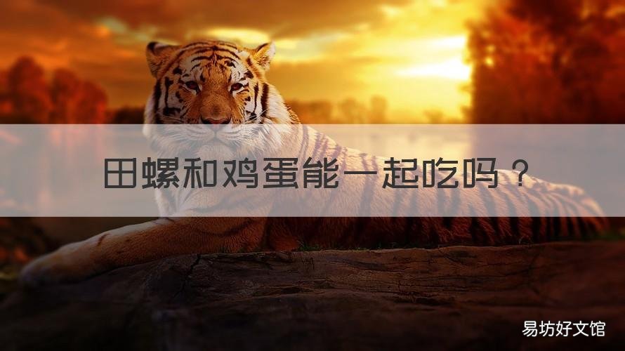 田螺和鸡蛋能一起吃吗 螺和鸡蛋可以一起吃吗