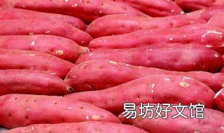 楼房红薯储藏新方法 住楼房保存红薯的秘诀