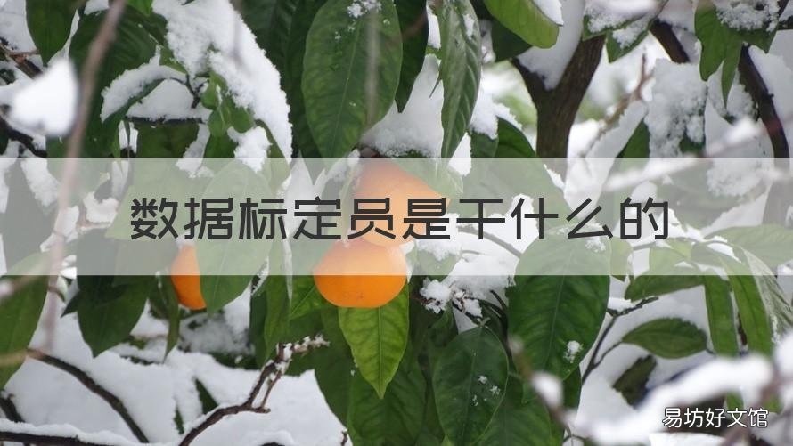 数据标定员是干什么的 标定员是干嘛的