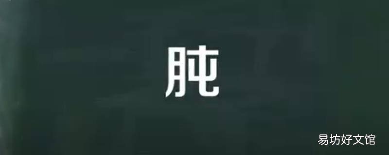 肫是什么意思 2×20gp是什么意思
