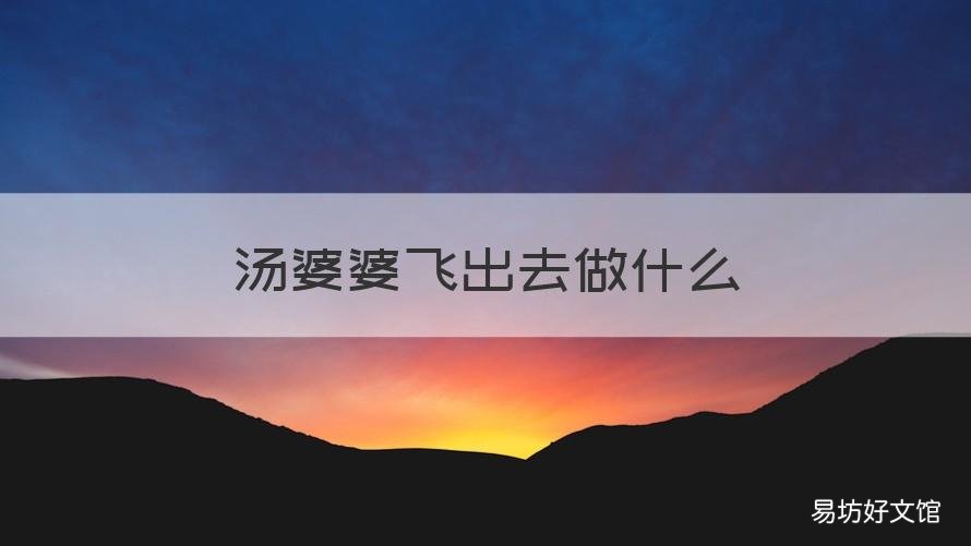 汤婆婆飞出去做什么 汤婆婆为什么白天要走