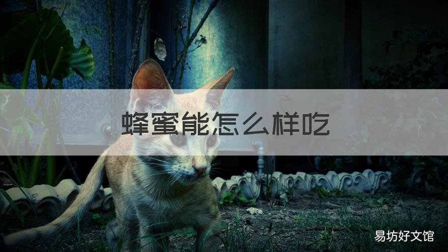 蜂蜜能怎么样吃 蜂蜜怎么样吃最好的选择