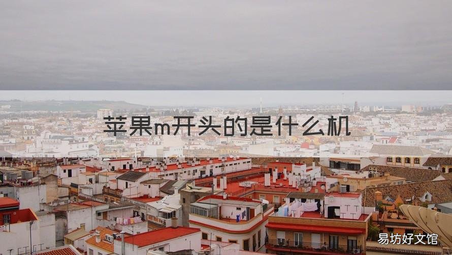苹果m开头的是什么机 苹果手机m开头的是什么机