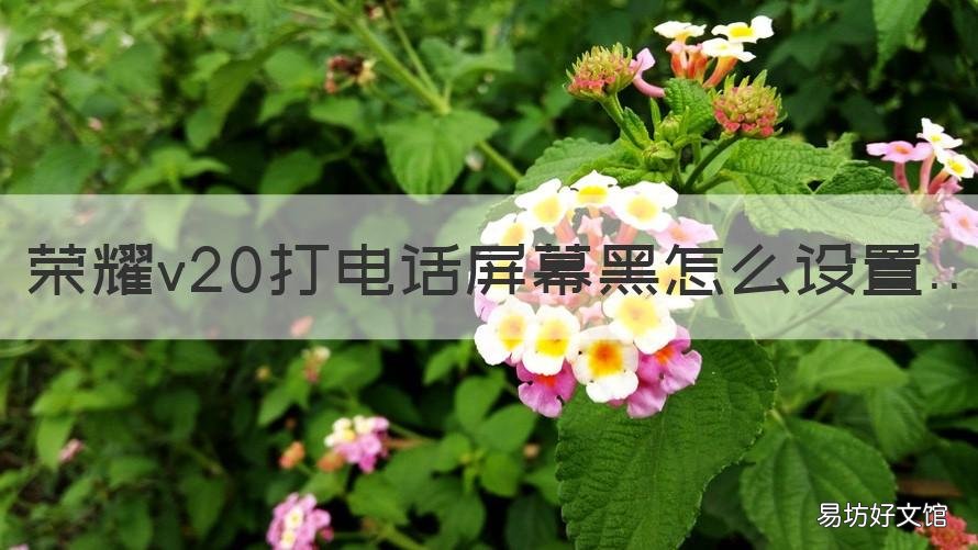 荣耀v20打电话屏幕黑怎么设置