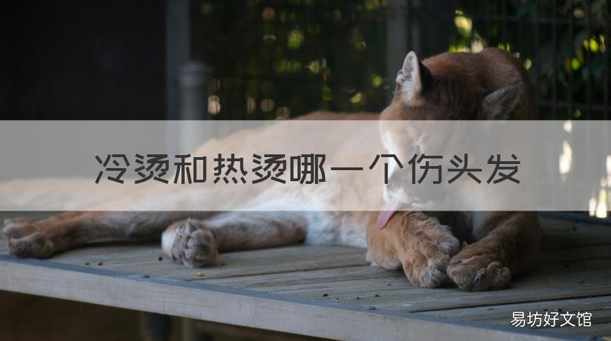 冷烫和热烫哪一个伤头发 冷烫和热烫哪一个伤头发快