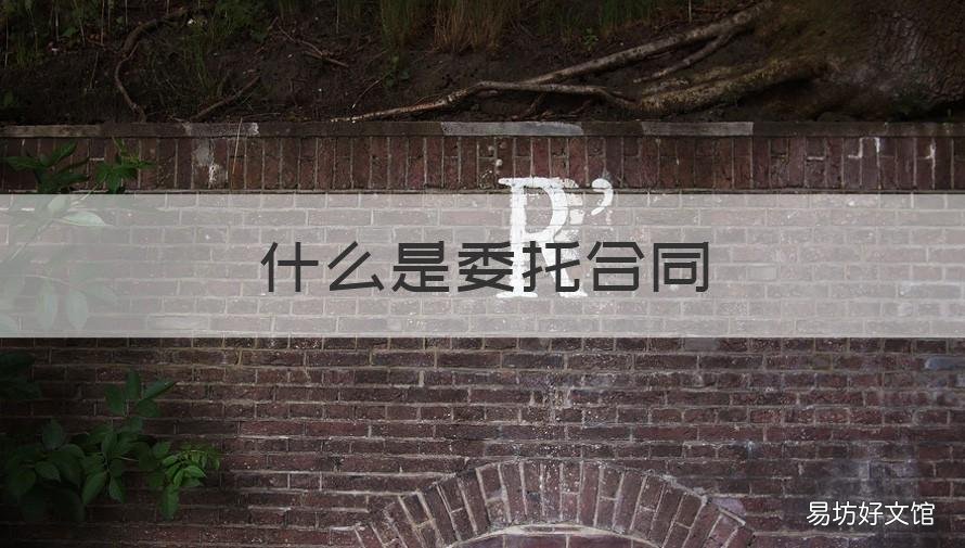 什么是委托合同